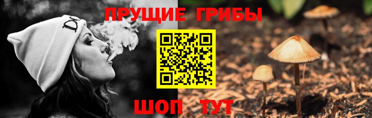 Галлюциногенные грибы Magic Shrooms  Вход с VPN  Псилоцибиновые грибы ЛСД  Ефремов 